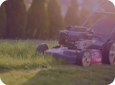 Landscape maintenance